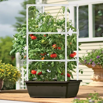 Roo Viinamarja Taime Toetavad Tomat Puuri Köögivilja Prügikast (Self-Assembly Multifunktsionaalne Taim Puuri Ronimiseks Taimed MUMR999